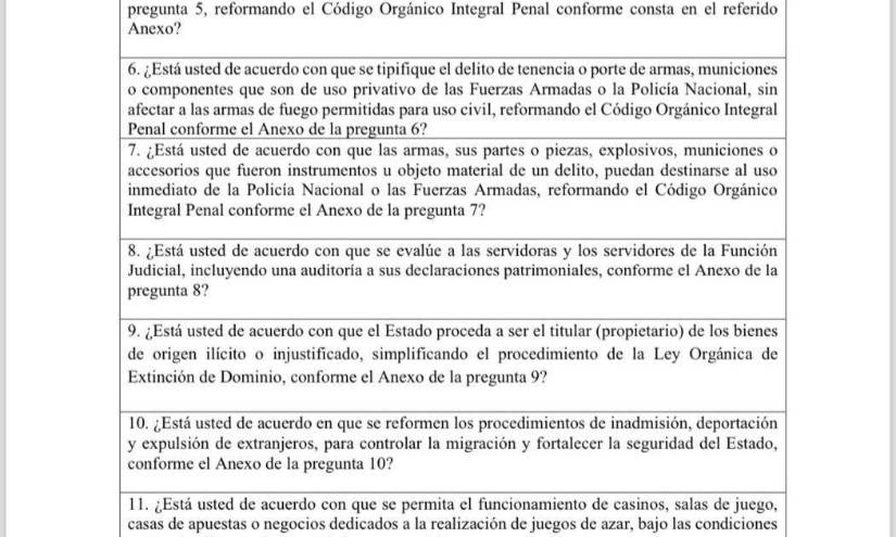 Estas son las once preguntas que envió Daniel Noboa a la Corte Constitucional.