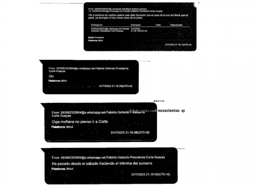 Chats del caso Purga