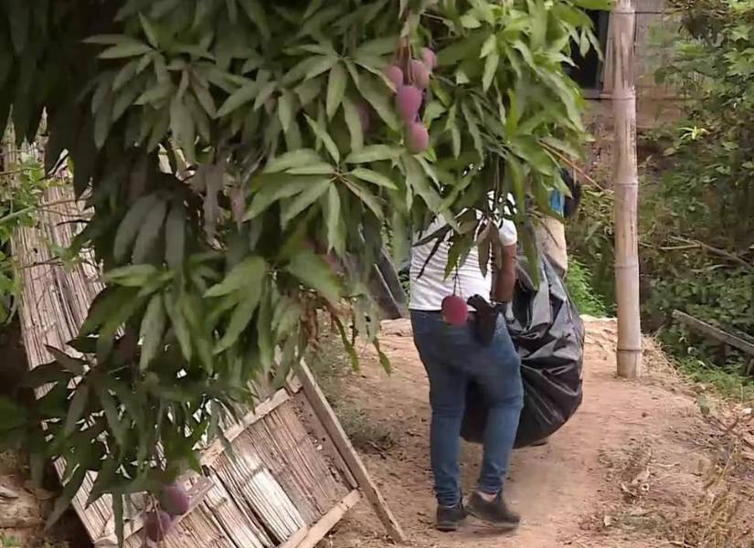 Imagen de un cuerpo descuartizado siendo sacado de un saco.