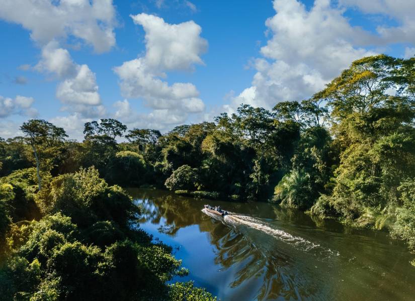 Lancha en lago rodeado de árboles