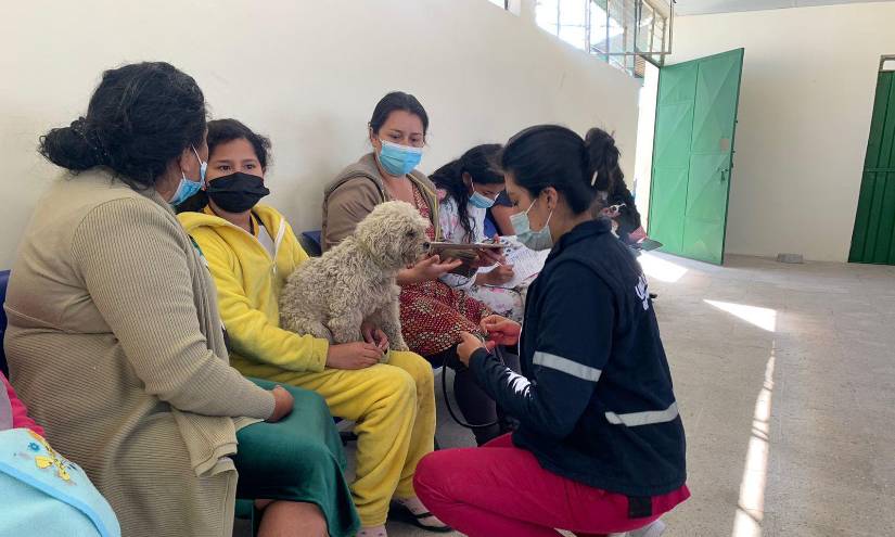 Canes fueron atendidos en la feria de sensibilización ‘Perro feliz, mundo feliz’