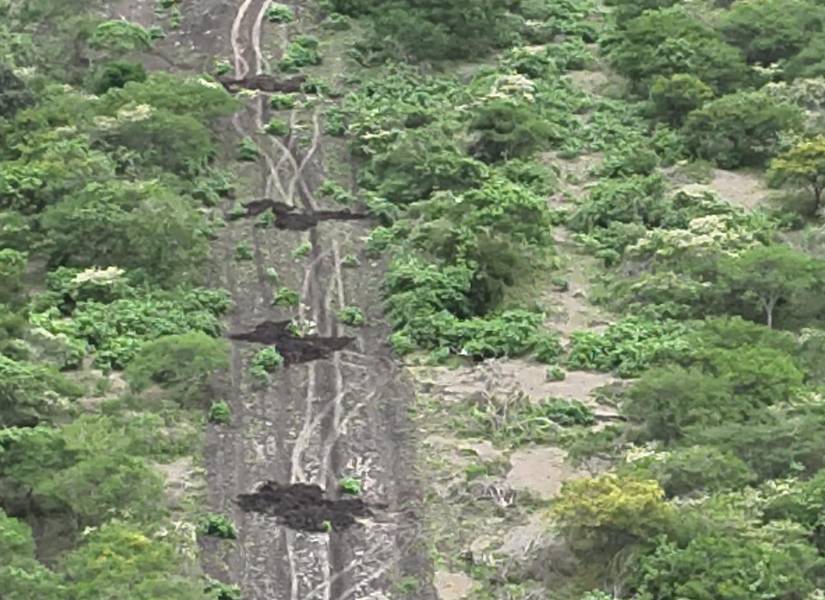 Imagen tomada desde el cielo de la pista que habría sido usada por narcotraficantes en Isla Puná, Guayas.