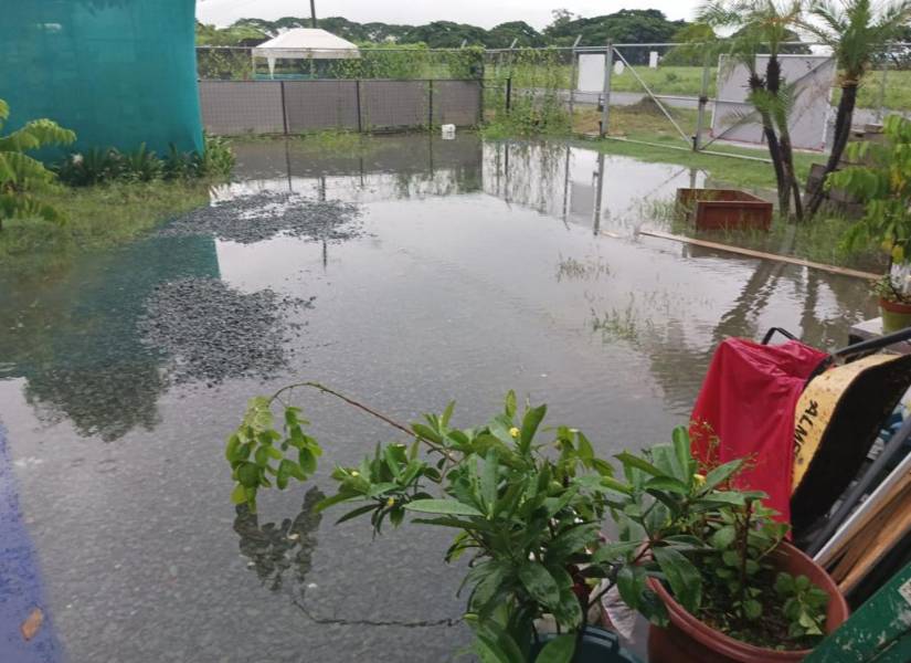 El agua llegó a las instalaciones de la Fundación Almanimal donde tuvieron que ser reubicados 40 perros y 60 gatos.