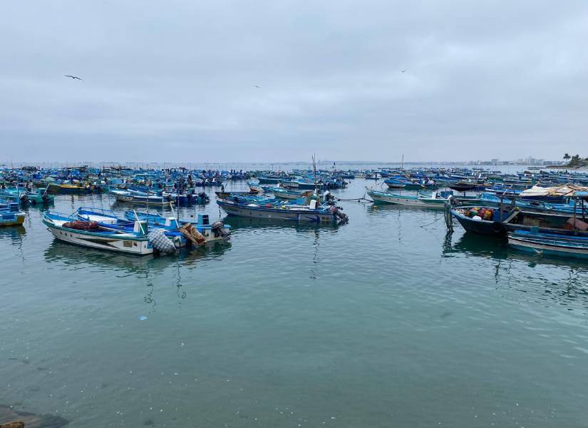 En el puerto pesquero de Santa Rosa, parroquia del cantón Salinas, decenas de pescadores intentaban esta mañana alejar sus embarcaciones de la orilla.