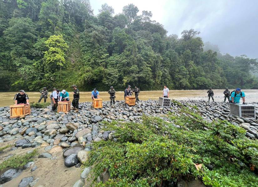 En la liberación también asistieron las Fuerzas Especiales del Ejército, y efectivos de la Unidad de Protección del Medio Ambiente de la Policía Nacional.