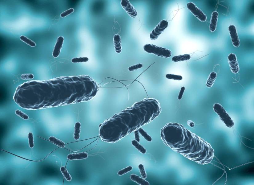 Imagen de referencia.