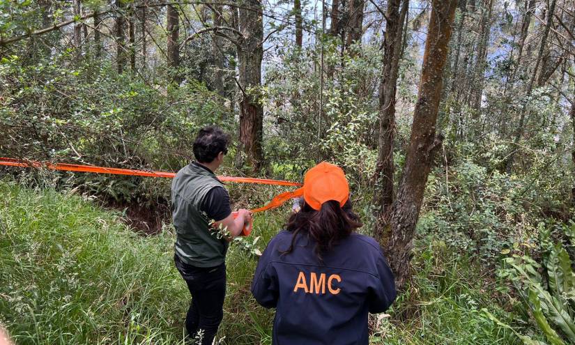 Personal de AMC atendió una denuncia por tala y desbroce de cobertura vegetal.
