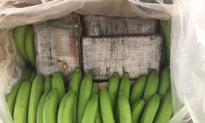 Decomiso de droga en bananos de Ecuador superó las 10 toneladas desde 2020