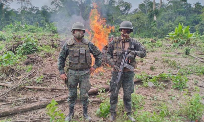 Fuerzas Armadas encuentra laboratorio y plantación de coca en Sucumbíos