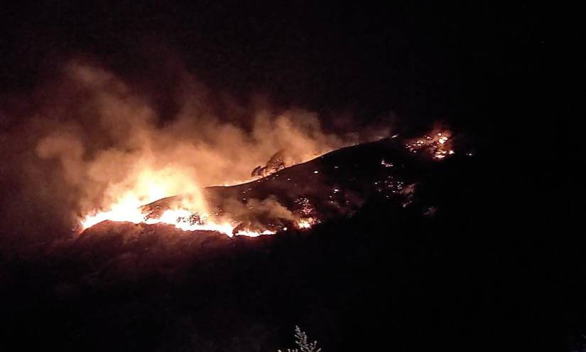 Incendios forestales en Ecuador: desolador rastro
