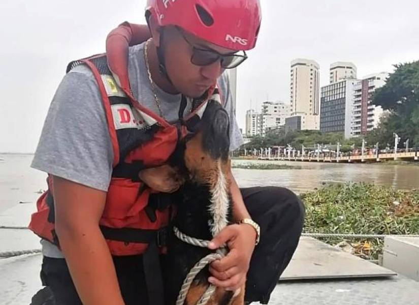 Un rescatista con el perro que salvó al llegar al malecón en Guayaquil.