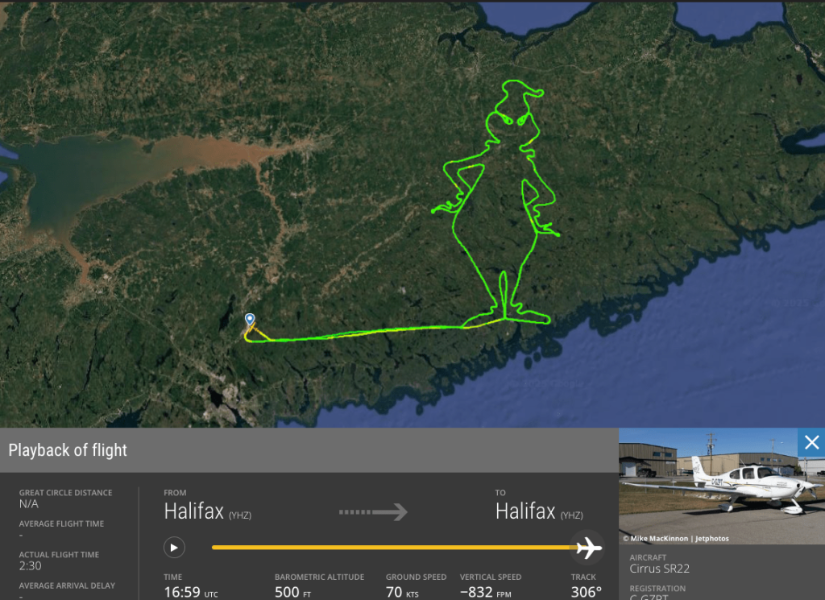 Dibujo del Grinch del piloto Neonakis.