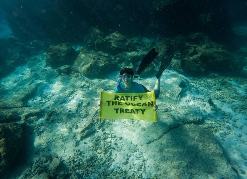 Alba Flores sostiene un cartel que dice Ratificar el Tratado de los Océanos, mientras practica snorkel cerca de la Isla Santiago, en las Islas Galápagos (Ecuador).