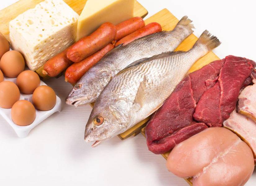 Imagen referencial: Proteínas.