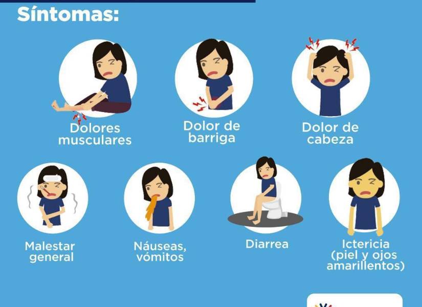 Paciente muere por leptospirosis en Santo Domingo