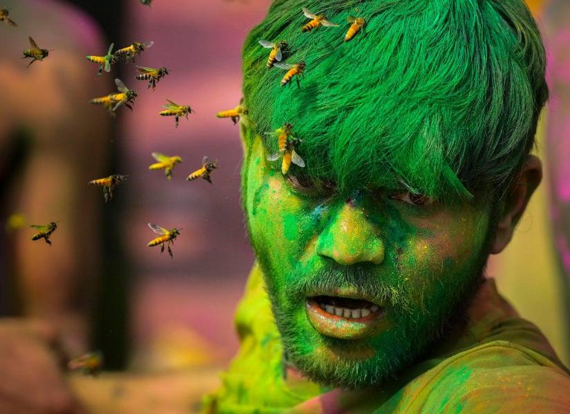 Un enjambre de abejas van en dirección de un hombre, durante el festival Holi.