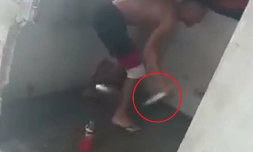Un detenido tras viralizarse video de un sujeto apuñalando a una mascota en Guayaquil