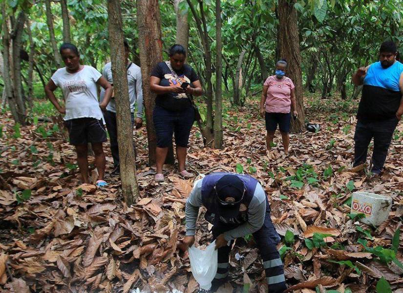 Monos Aulladores siendo enterrados