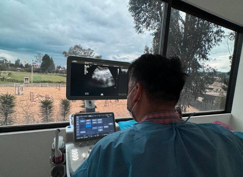 Vinimos a nuestra primera ecografía, contaron en el pie de foto del carrusel en redes sociales.