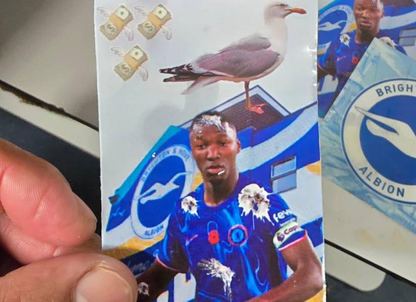 Afiche de los aficionados del Brighton contra Moisés Caicedo