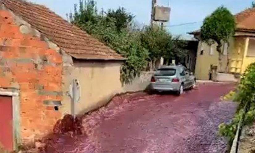 Un río de vino en una calle de la localidad de São Lourenço do Bairrol.