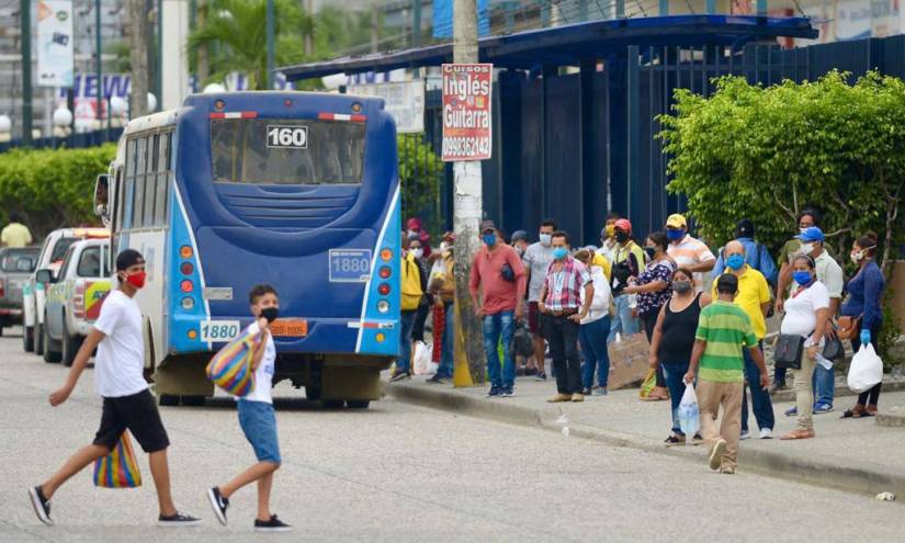 Transportistas urbanos de Guayaquil no se sumarán al paro nacional
