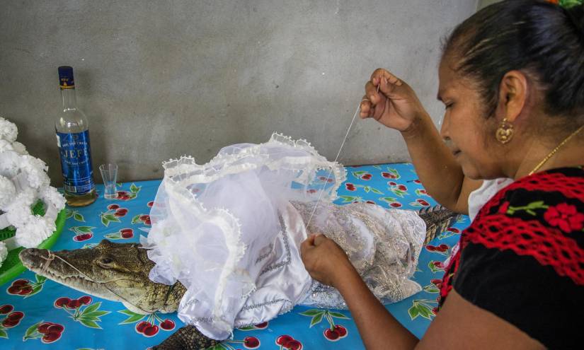 Un alcalde mexicano se casó con una novia lagarto, ¿de qué se trata el ritual?
