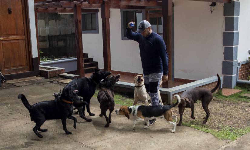 Escuela ayuda a perros con problemas de socialización en Nicaragua