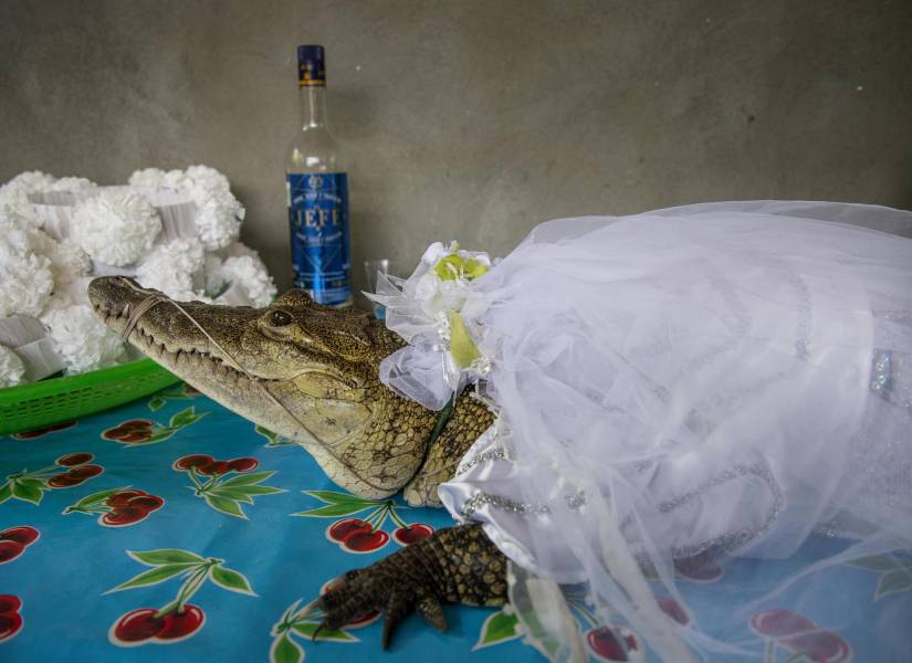 Un alcalde mexicano se casó con una novia lagarto, ¿de qué se trata el ritual?