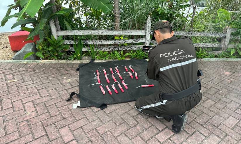 19 cargas explosivas fueron detectadas en el sector de la Isla Trinitaria Norte.