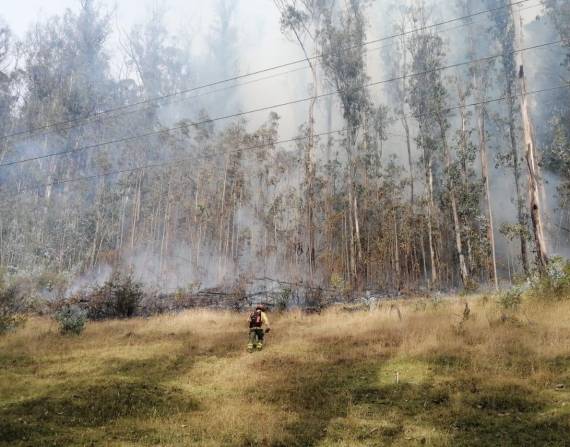 Un bosque se incendia en la Comuna de Miraflores.