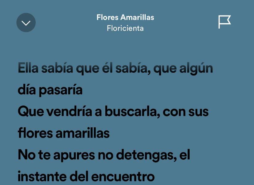 Letra de la canción Flores Amarillas de Floricienta.