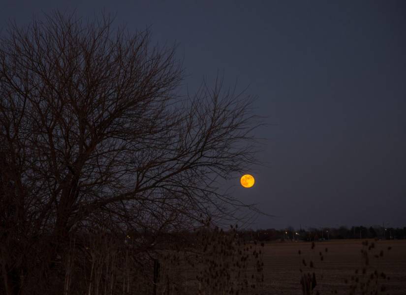 Vista de la Luna de Castor desde una zona rural.