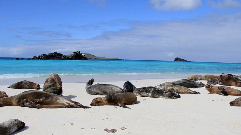 Galápagos se abriría al turismo desde el próximo 1 de julio