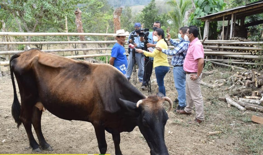 Catorce cantones de Manabí sufren falta de agua