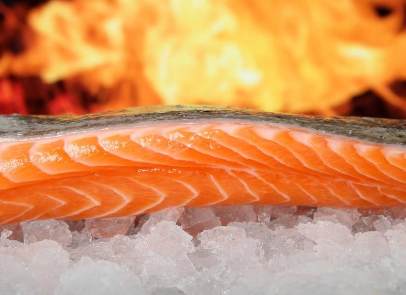 El salmón es la fuente de omega 3 mas conocida y consumida.