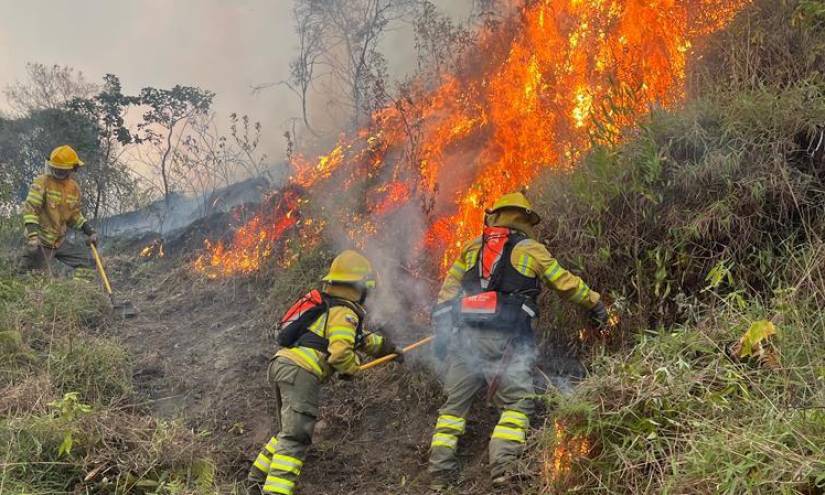 Personal de bomberos controló un 90 % el incendio forestal en el sector El Porvenir.