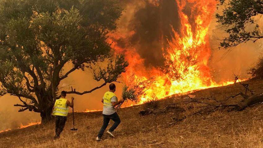 Los incendios en Argelia dejan al menos 34 muertos