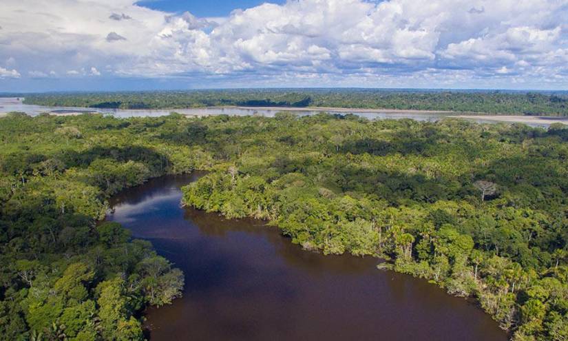 Gobierno apoya a bioemprendimientos en la Amazonía para el Yasuní