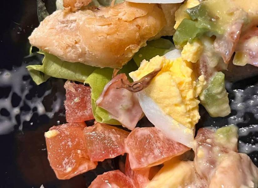 En esta foto se muestra a una babosa sobre los ingredientes de una ensalada, comprada presuntamente en un local de comida del sector de Los Ceibos. Foto: Redes Sociales