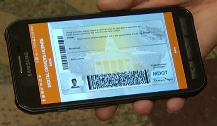 Florida: Primero en EE.UU. con licencias de conducir para celulares