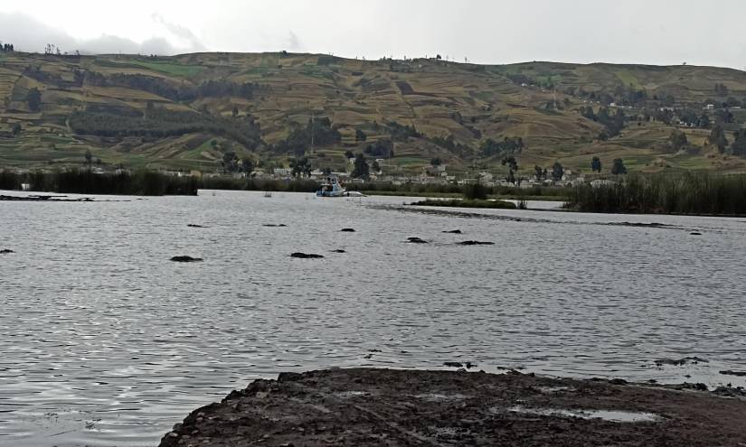La laguna de Colta está ubicada a 24 kilómetros de la ciudad de Riobamba.