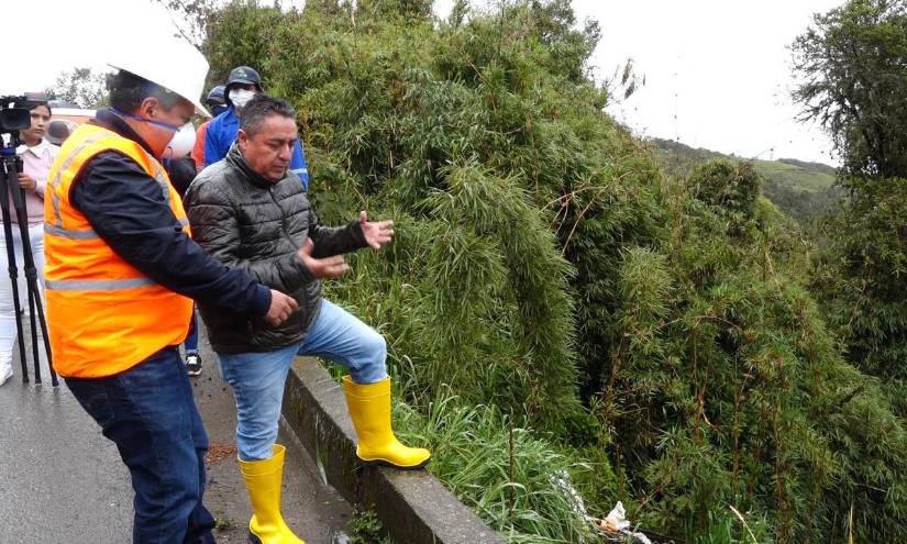 Autoridades de Paute dispusieron una investigación para identificar al dueño de los animales.