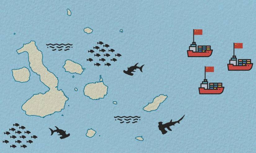 Flota pesquera acecha Galápagos ¿qué ha hecho el Gobierno?