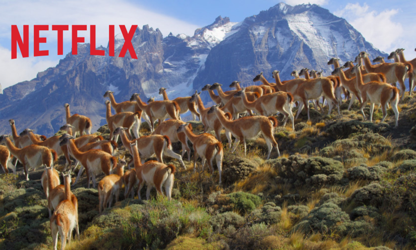 Premios Emmy 2022: La producción latinoamericana nominada de Netflix