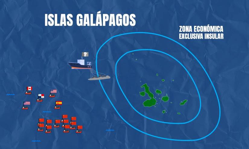 La solución en Galápagos: ¿ampliar la reserva marina?