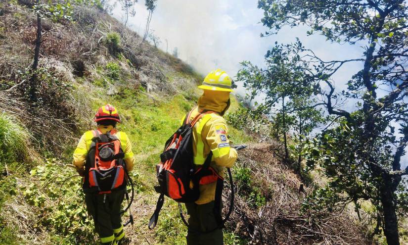 El fuego comenzó la mañana del 10 de agosto en una zona de pendiente pronunciada.