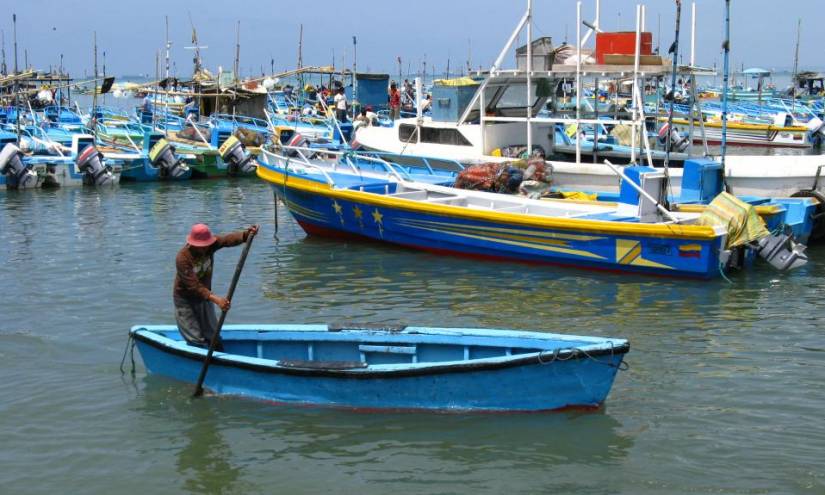 Piden investigar entrega irregular de matrículas a pescadores