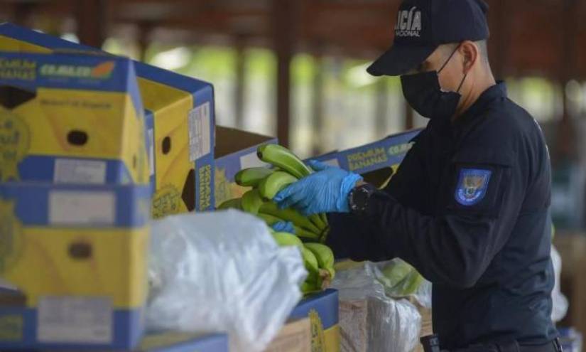 Por cada contenedor de banano que los narcos contaminan con droga en Ecuador, el exportador pierde algo más de USD 12.000