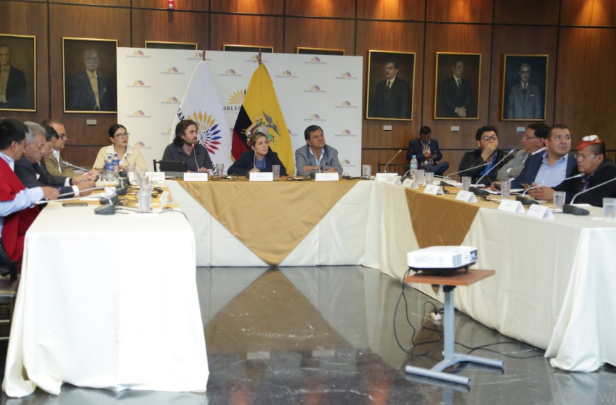 Receptan primeras pruebas de cargo contra presidenta de CNE